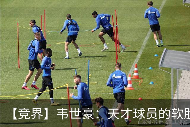 【竞界】韦世豪：天才球员的软肋 洪七公效应的外溢